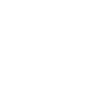 Logo_alternativ_ohneHintergrund